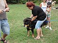 img 047